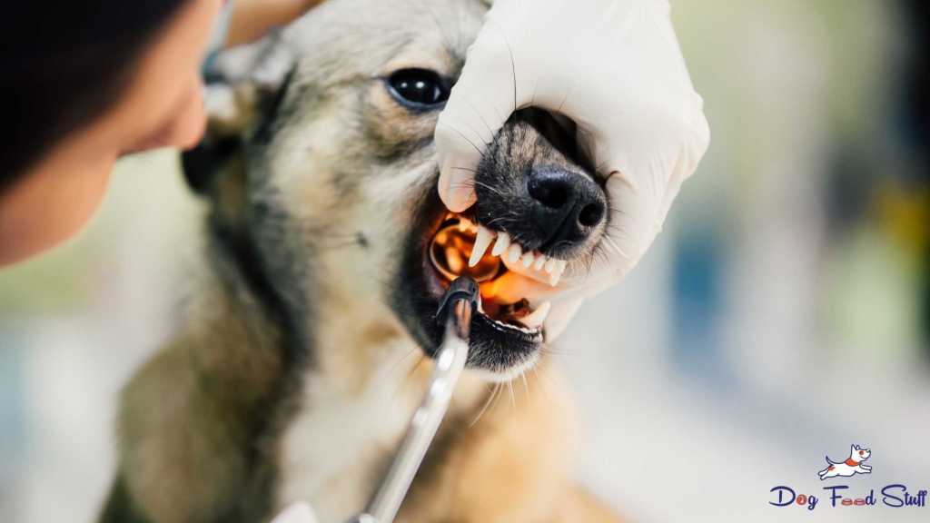 remove food that is stuck in the dog's throat