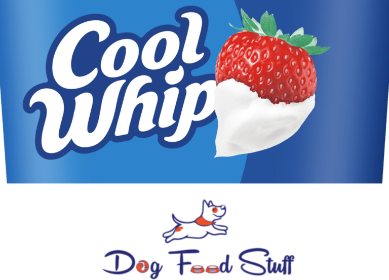 Can Dogs Eat Cool Whip photo