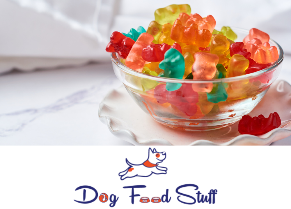 Can Dogs Eat Gummy Bears photo