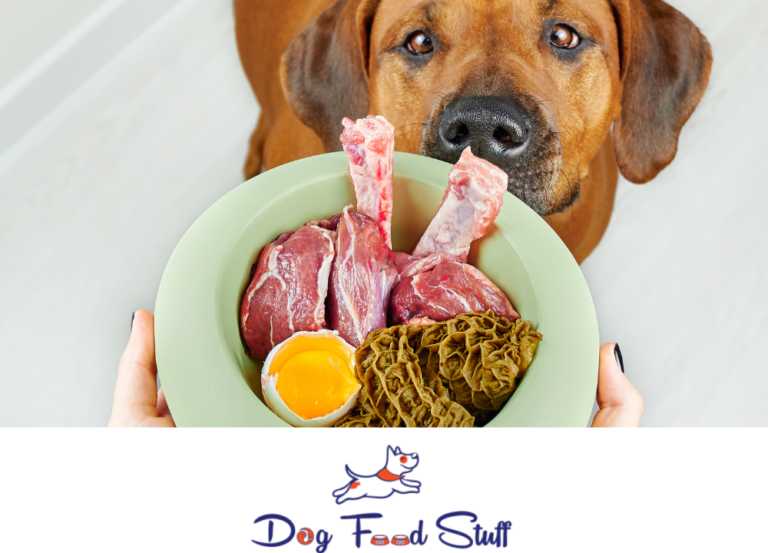 Dog Food For Diabetic photo