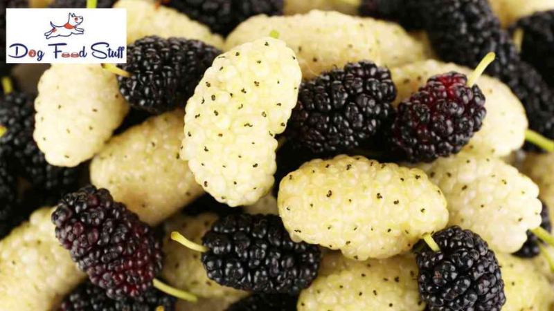 Mulberry nutritional facts photo